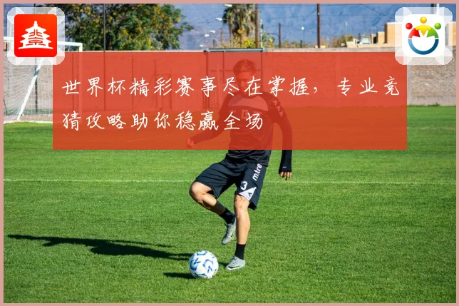 世界杯精彩赛事尽在掌握，专业竞猜攻略助你稳赢全场